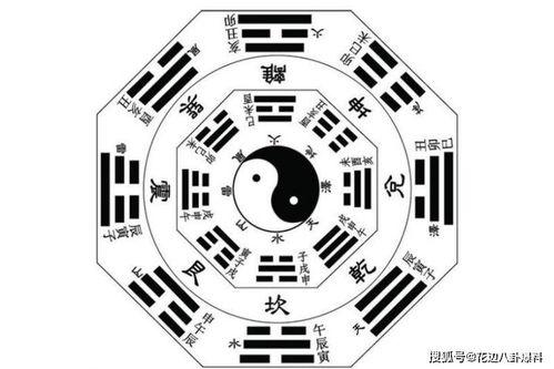 娱乐随拍吃瓜八卦图,随拍揭秘明星私生活八卦瞬间