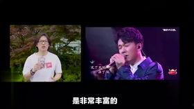 娱乐吃瓜群众歌曲大全歌词,歌曲大全歌词背后的故事与情感