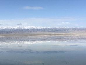 娱乐吃瓜洲,揭秘娱乐圈背后的那些事儿