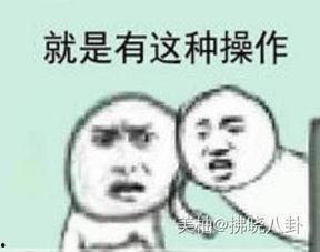 娱乐吃瓜酱敷衍,敷衍吃瓜，揭秘幕后真相