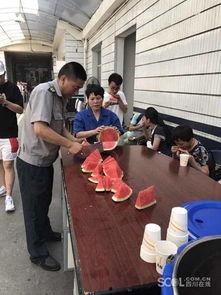 吃瓜群众图片动态图,趣味横生的围观瞬间