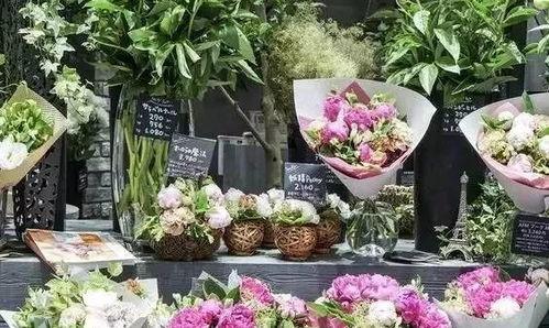 娱乐吃瓜酱花店